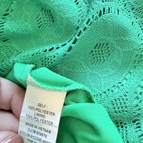 Rabbit Rabbit Rabbit Green Lace Midi Dress - Picture 4 of 4